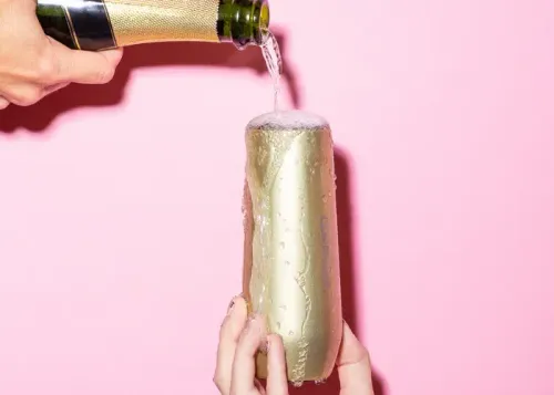 Corkcicle stemless flute